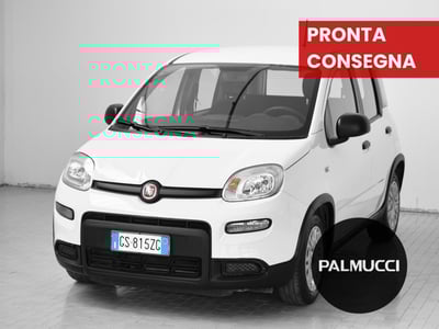 Fiat Panda Cross Cross 1.0 FireFly S&amp;S Hybrid del 2024 usata a Prato