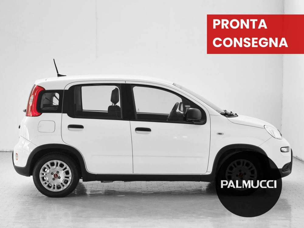 Fiat Panda Cross usata a Prato (5)