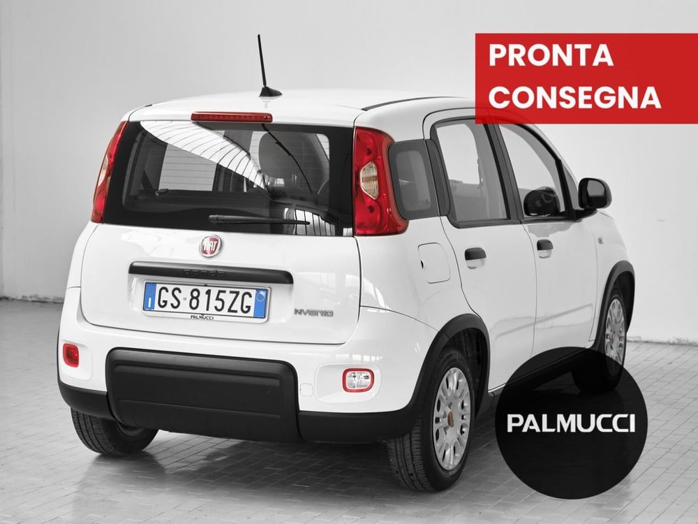 Fiat Panda Cross usata a Prato (6)