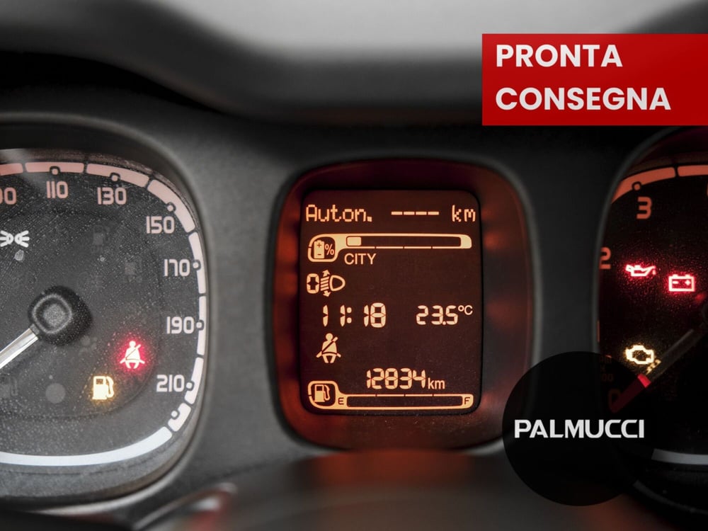 Fiat Panda Cross usata a Prato (11)