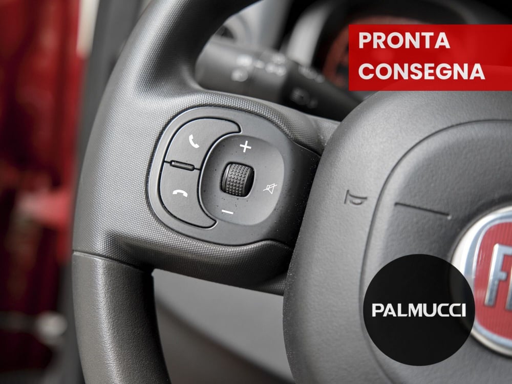 Fiat Panda Cross usata a Prato (8)