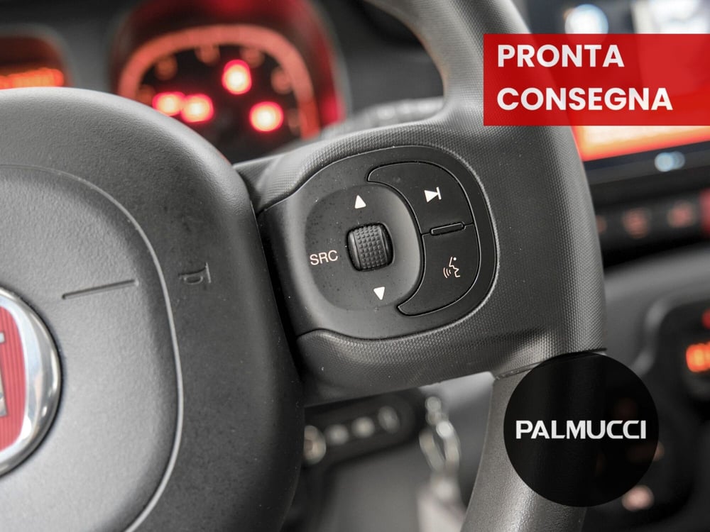 Fiat Panda Cross usata a Prato (9)