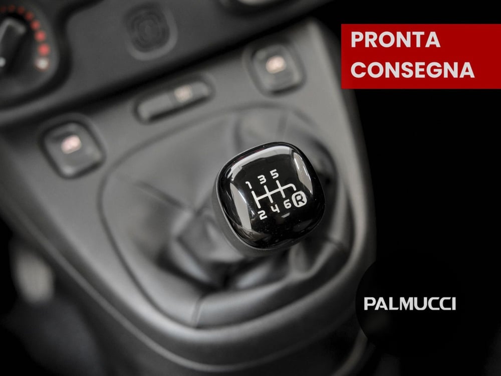 Fiat Panda Cross usata a Prato (13)