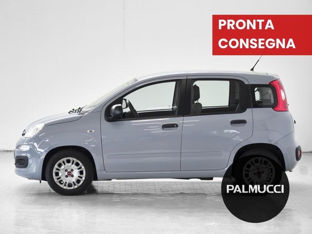 Fiat Panda Cross usata a Prato (3)