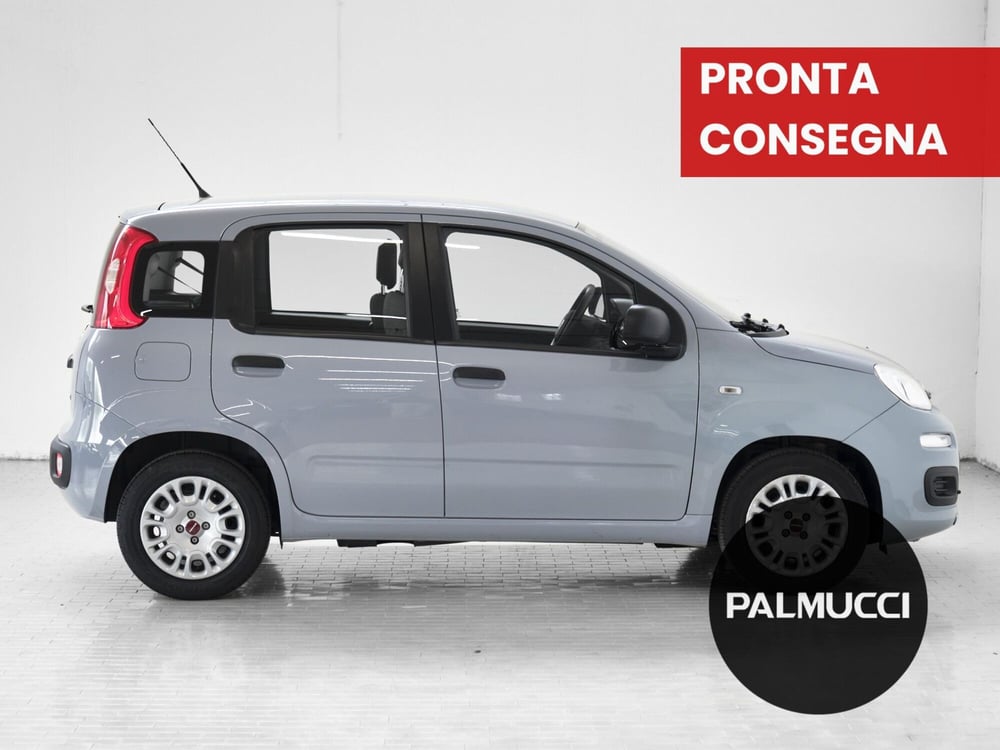 Fiat Panda Cross usata a Prato (4)