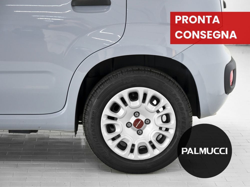 Fiat Panda Cross usata a Prato (6)