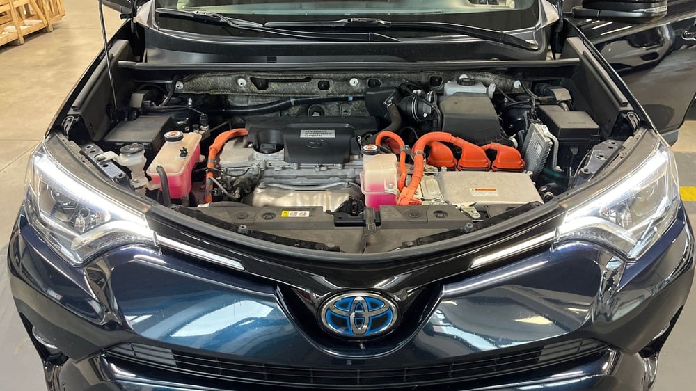 Toyota Rav4 usata a Treviso (15)