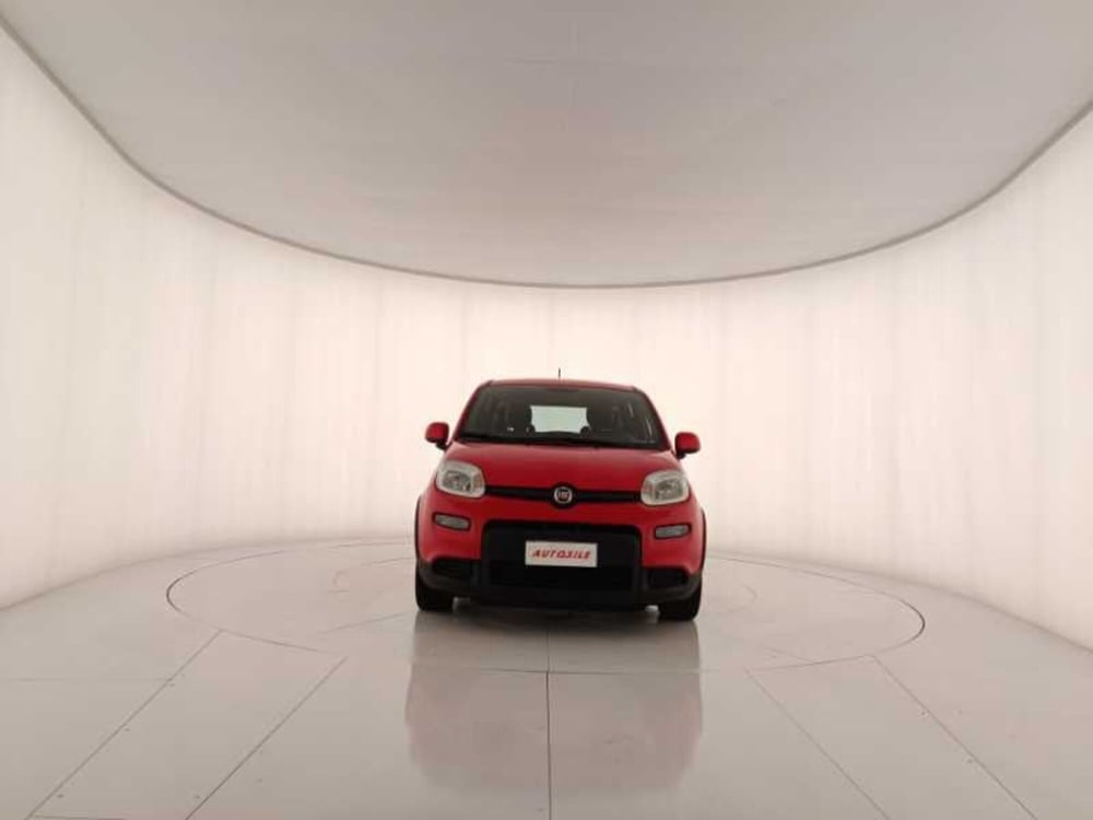 Fiat Panda usata a Treviso (2)