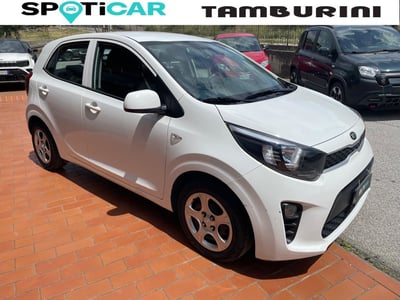 Kia Picanto 1.0 12V 5 porte Active del 2019 usata a Cortona
