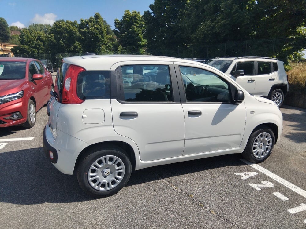 Fiat Panda nuova a Roma (6)