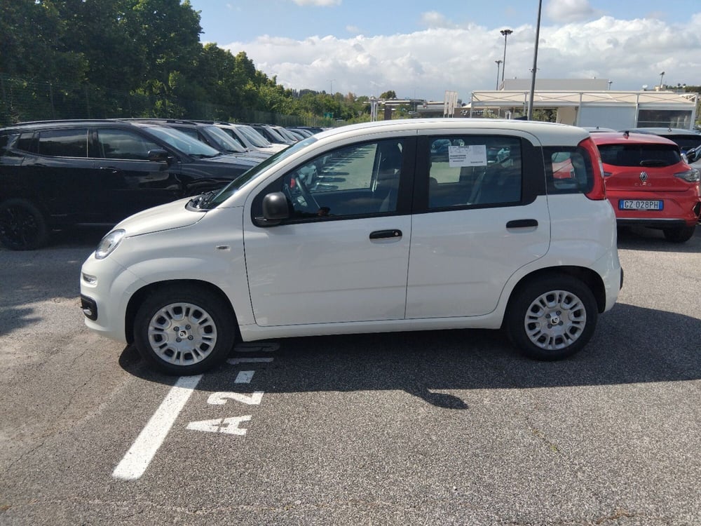 Fiat Panda nuova a Roma (8)