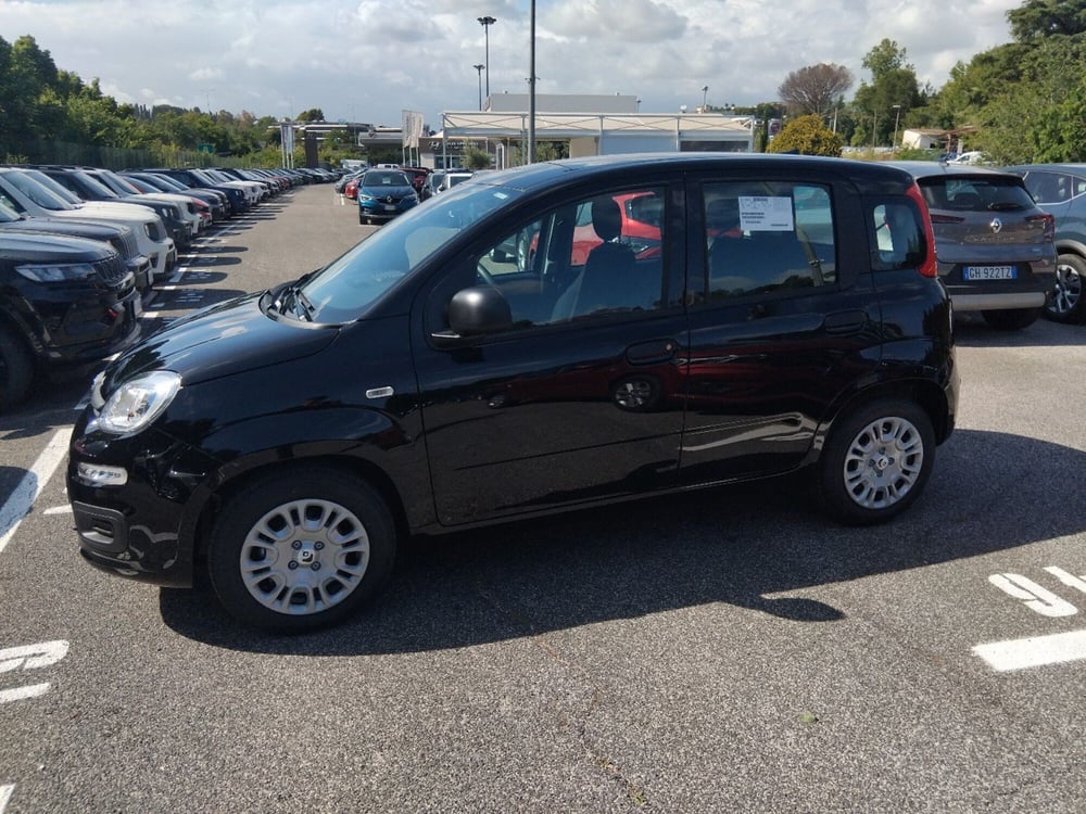 Fiat Panda nuova a Roma (8)
