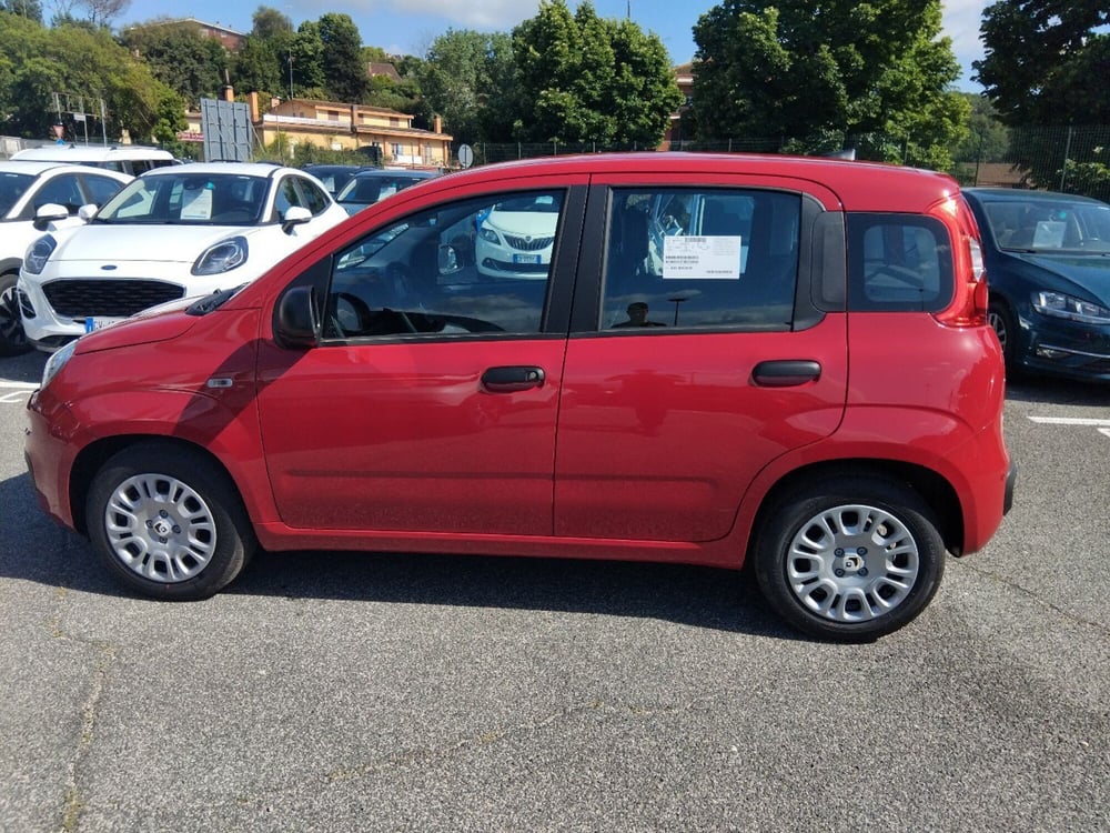 Fiat Panda nuova a Roma (8)