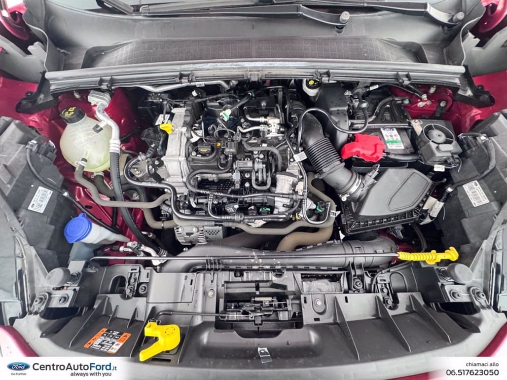 Ford Puma usata a Roma (12)