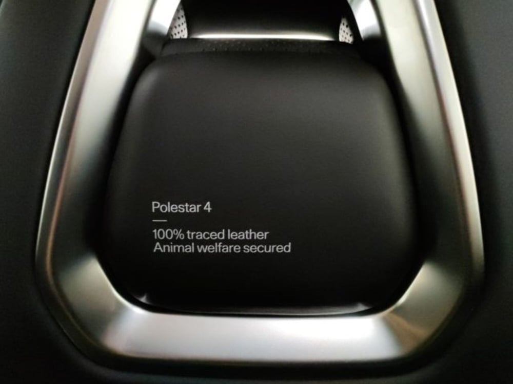 Polestar Polestar 4 nuova a Modena (20)
