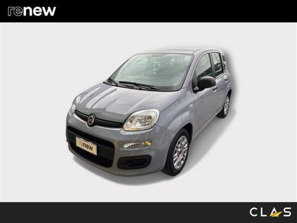 Fiat Panda usata a Livorno