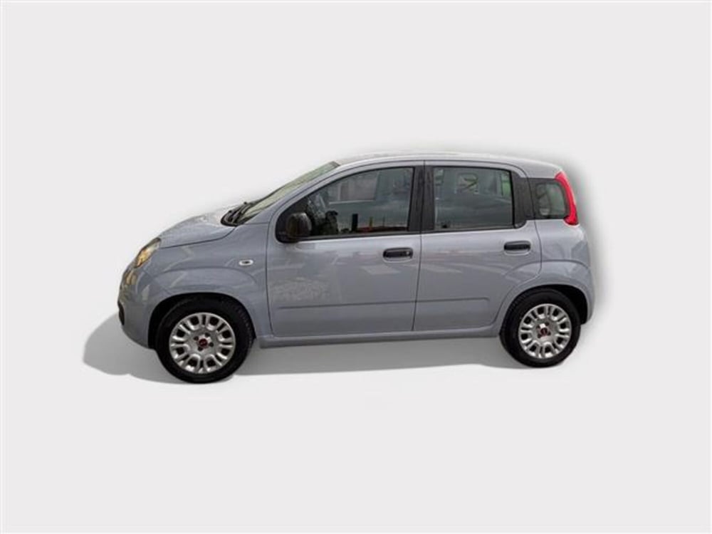 Fiat Panda usata a Livorno (2)