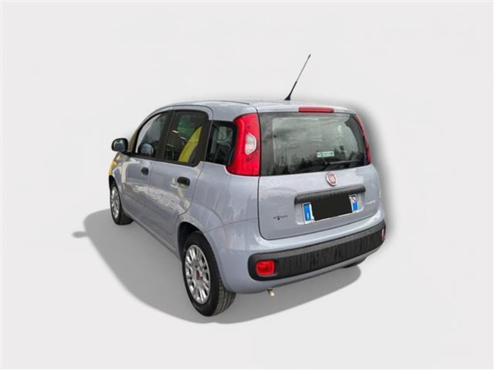 Fiat Panda usata a Livorno (3)