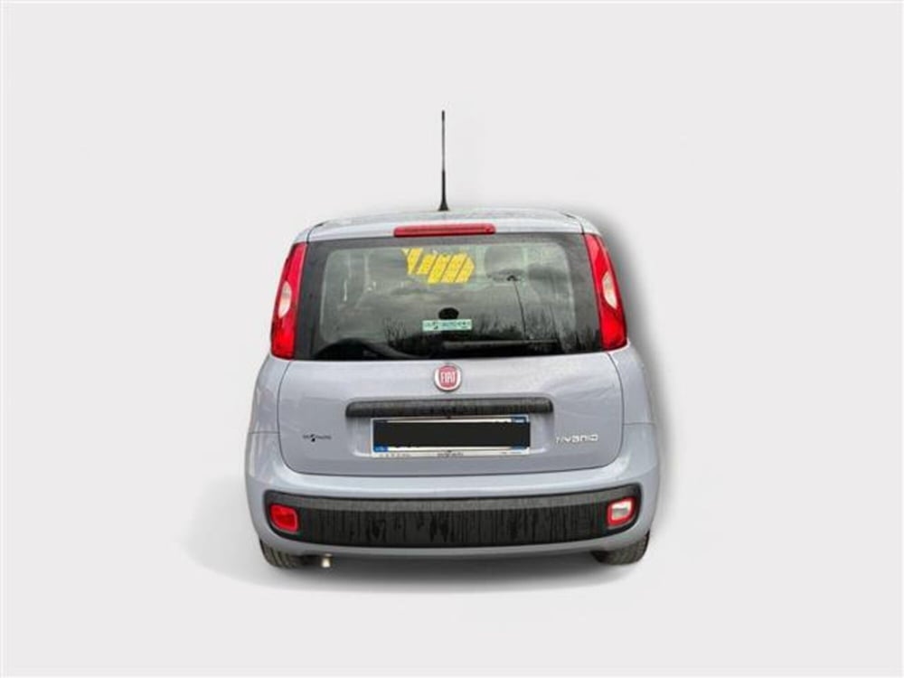 Fiat Panda usata a Livorno (4)