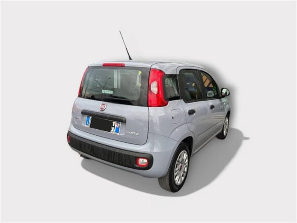 Fiat Panda usata a Livorno (5)