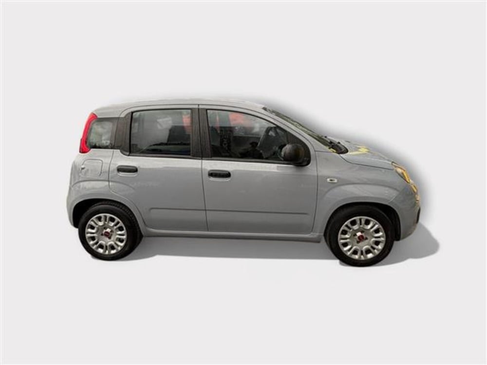 Fiat Panda usata a Livorno (6)