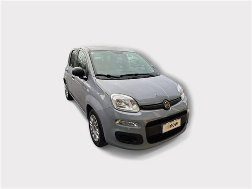 Fiat Panda usata a Livorno (7)
