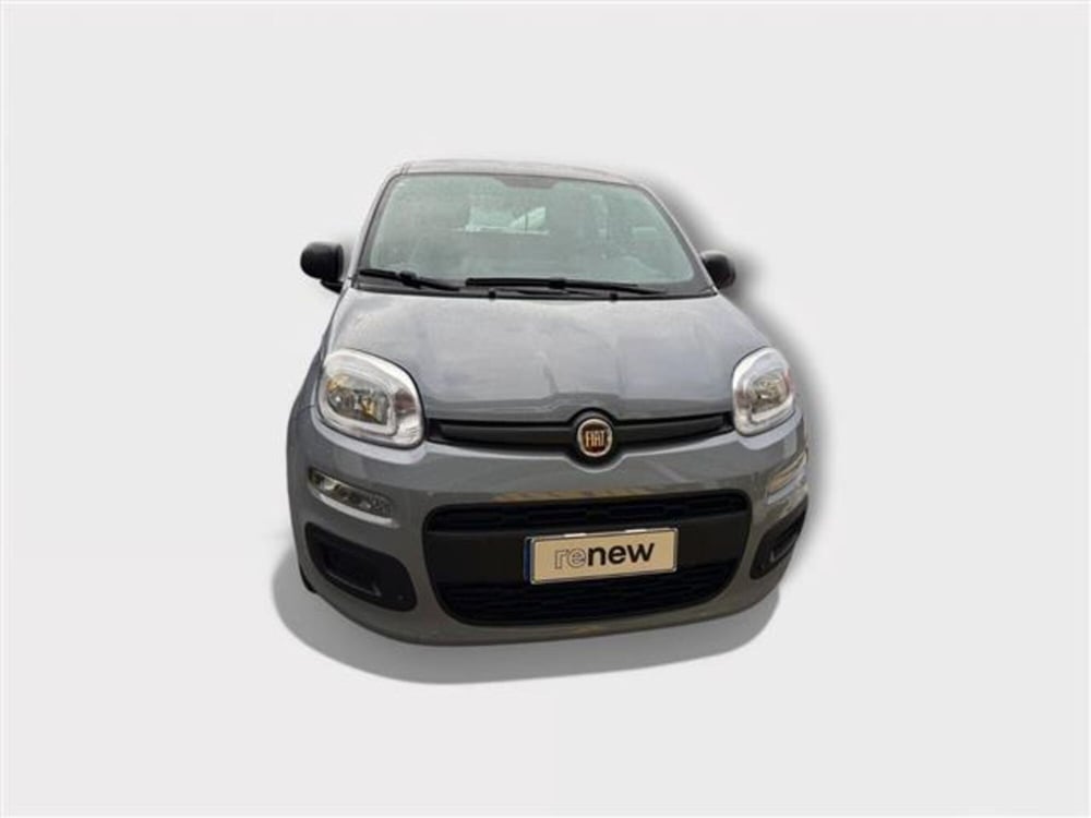 Fiat Panda usata a Livorno (8)