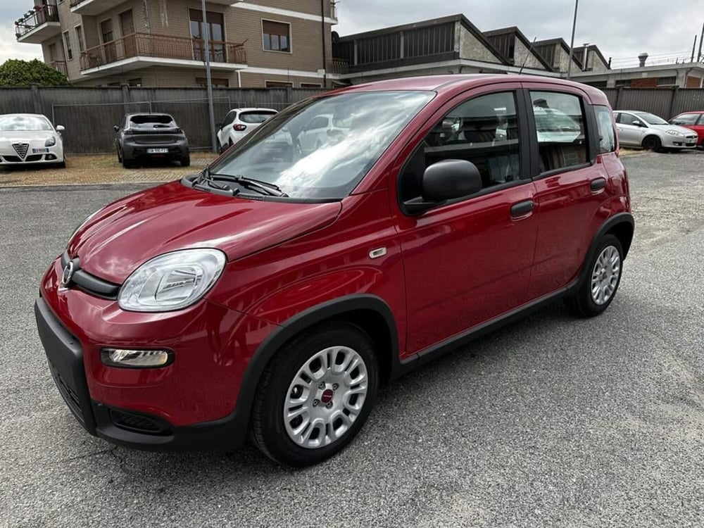 Fiat Panda Cross nuova a Torino