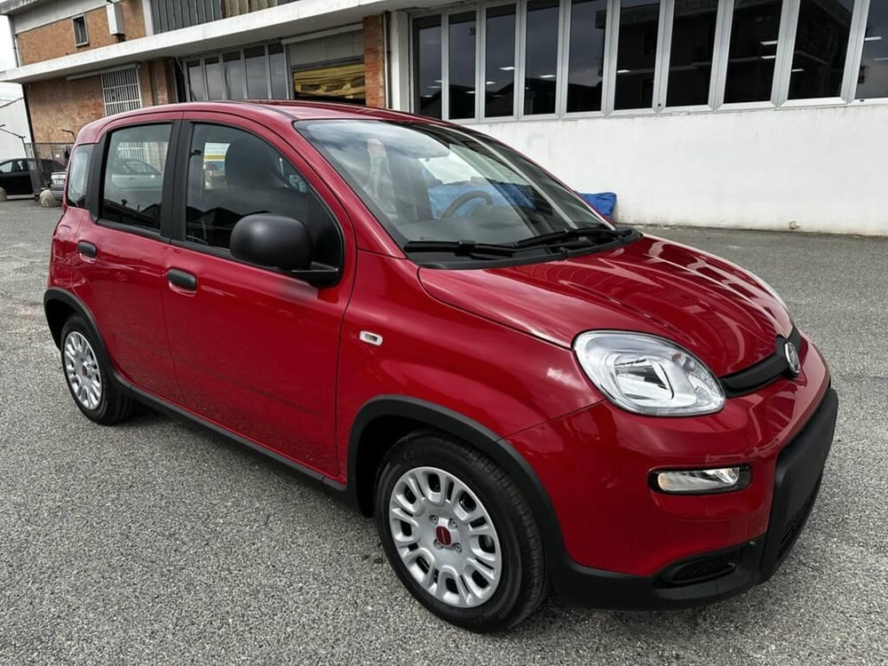 Fiat Panda Cross nuova a Torino (2)