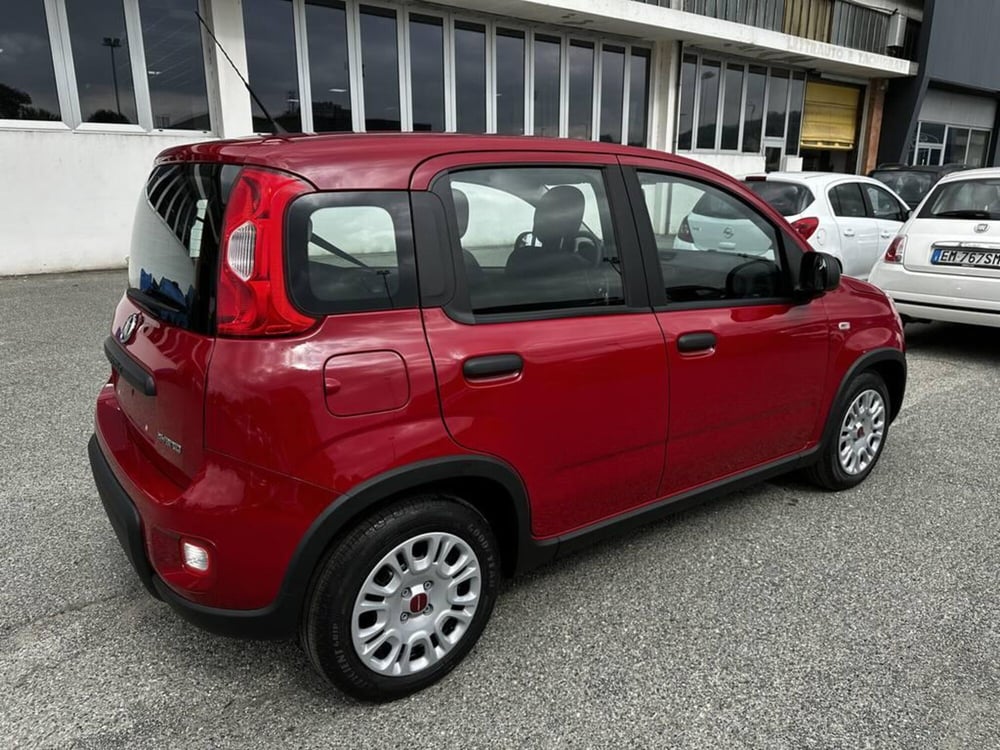 Fiat Panda Cross nuova a Torino (3)