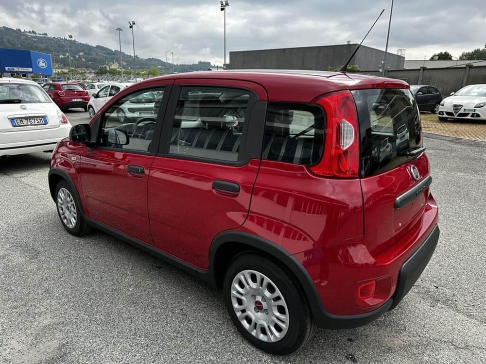 Fiat Panda Cross nuova a Torino (4)