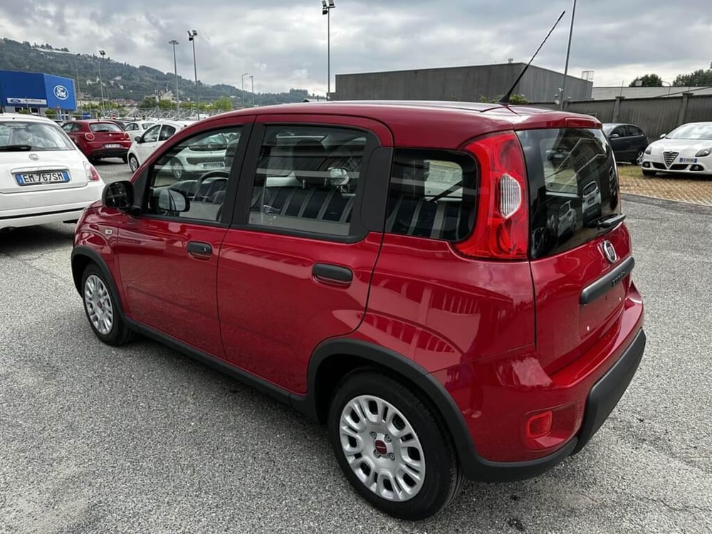 Fiat Panda Cross nuova a Torino (5)