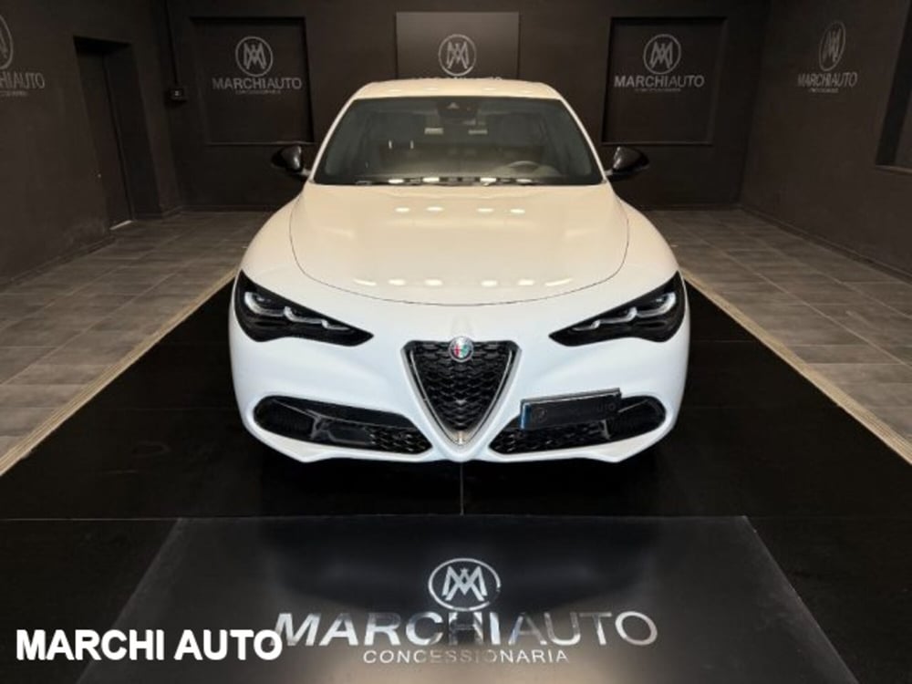 Alfa Romeo Stelvio usata a Perugia (2)
