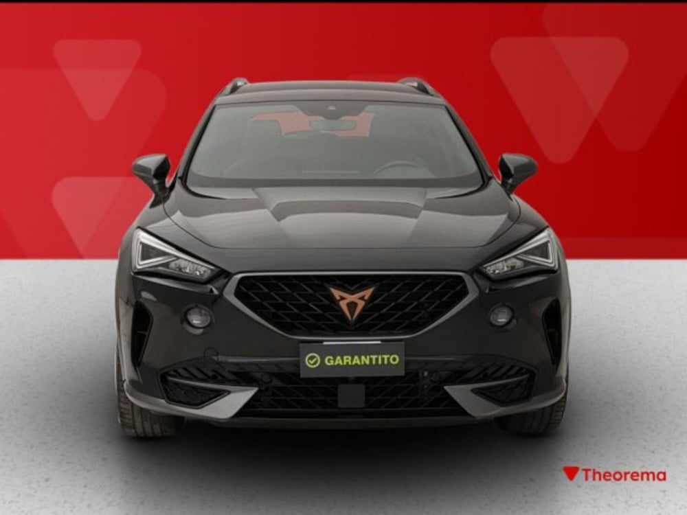 Cupra Formentor usata a Torino (8)