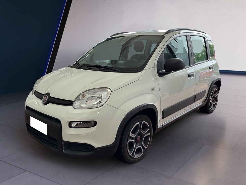 Fiat Panda usata a Torino (2)