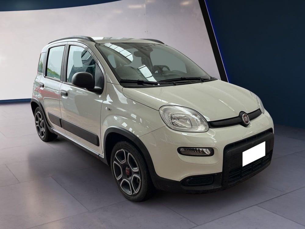 Fiat Panda usata a Torino (3)