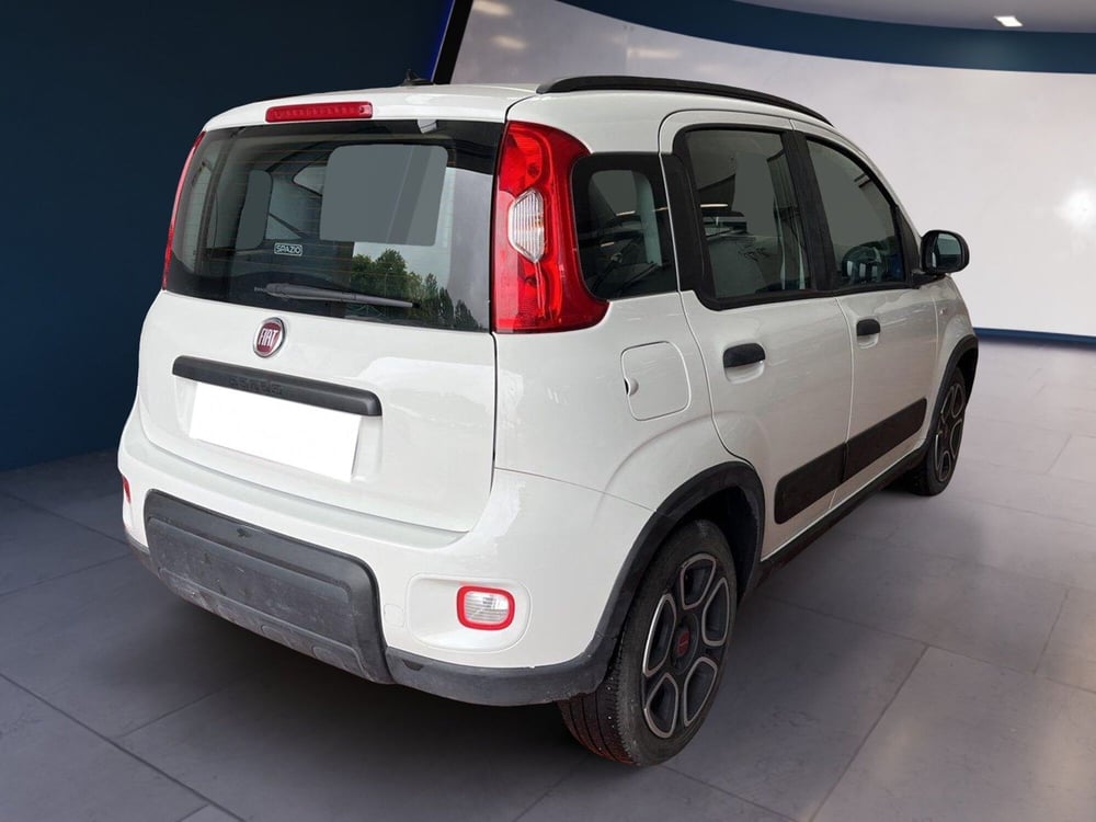 Fiat Panda usata a Torino (4)