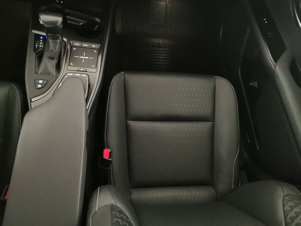 Lexus UX usata a Chieti (19)