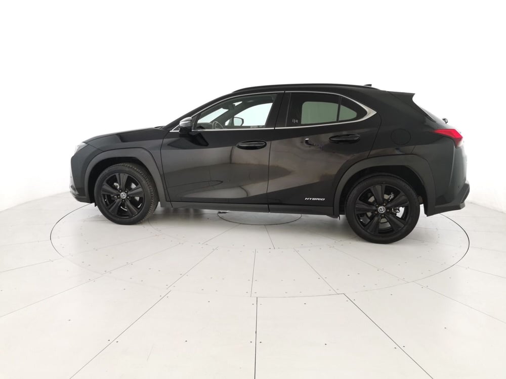 Lexus UX usata a Chieti (2)