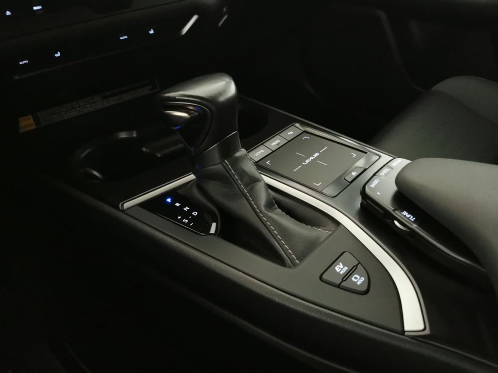 Lexus UX usata a Chieti (20)