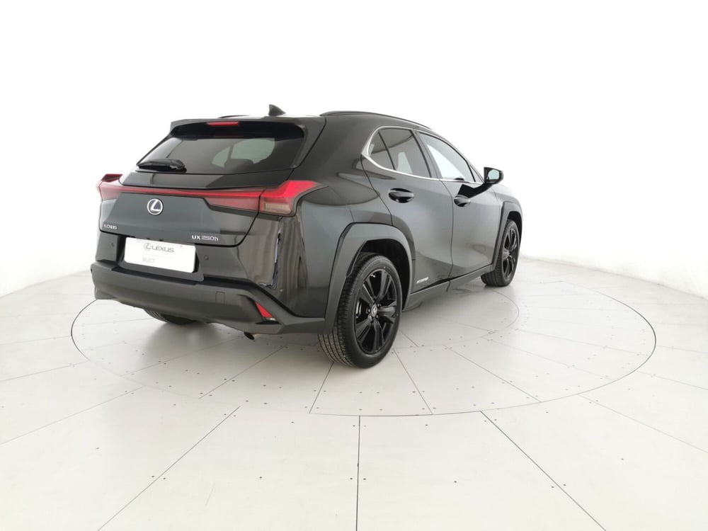 Lexus UX usata a Chieti (3)