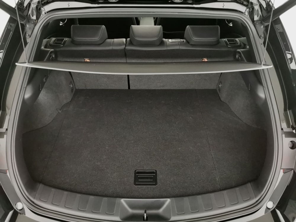 Lexus UX usata a Chieti (7)