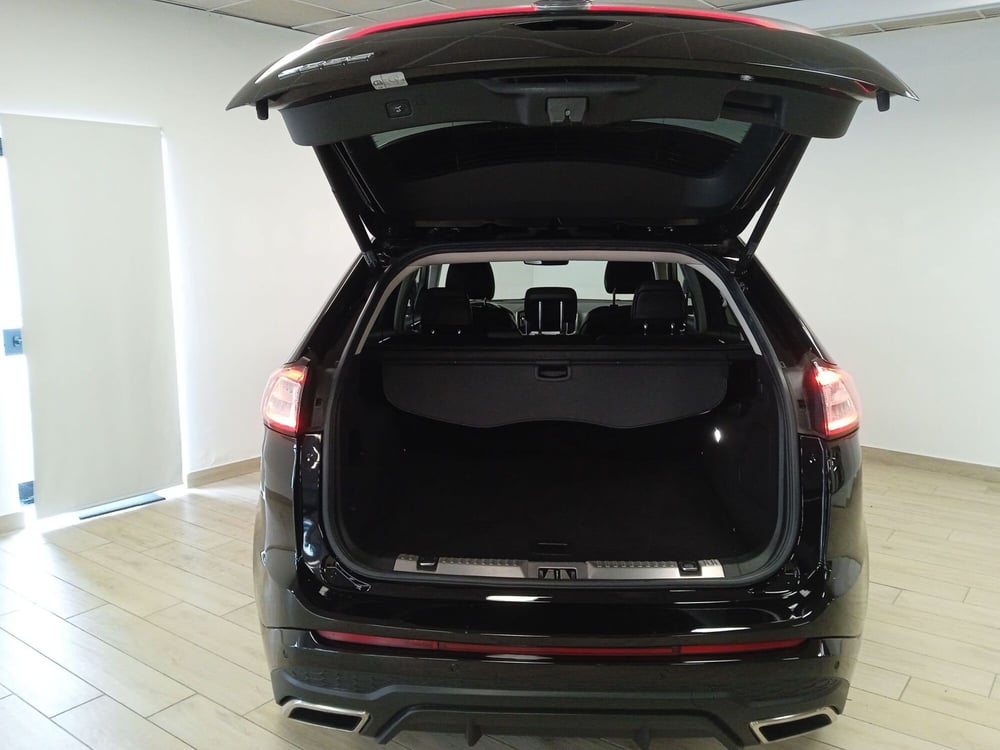 Ford Edge usata a Torino (19)