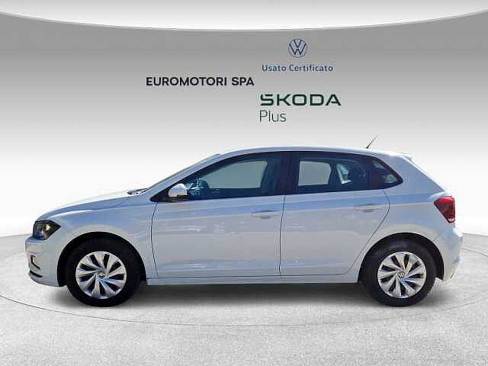 Volkswagen Polo usata a Siena (2)