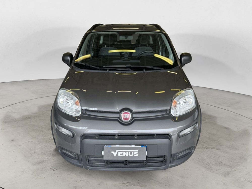Fiat Panda usata a Monza e Brianza (2)