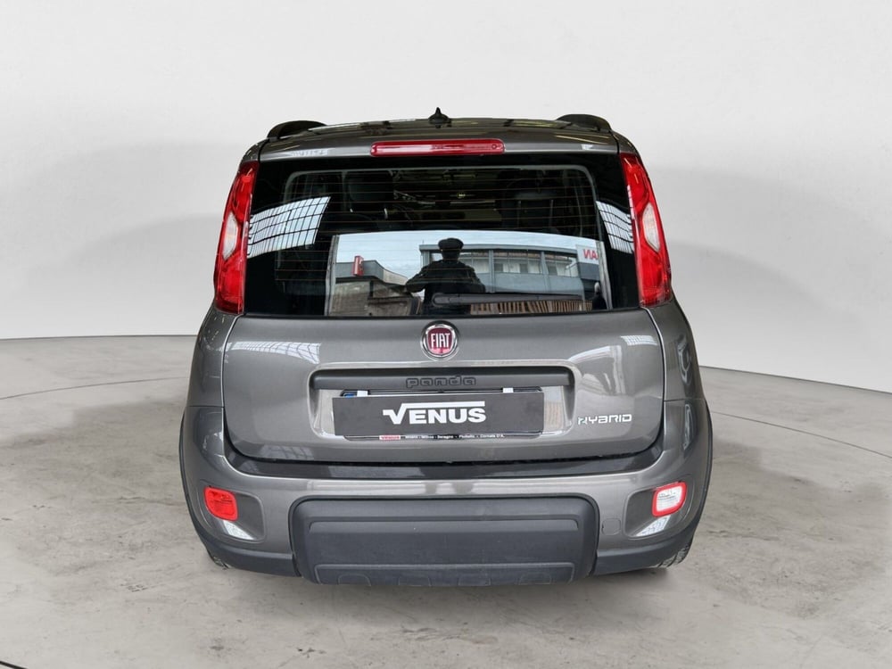 Fiat Panda usata a Monza e Brianza (6)