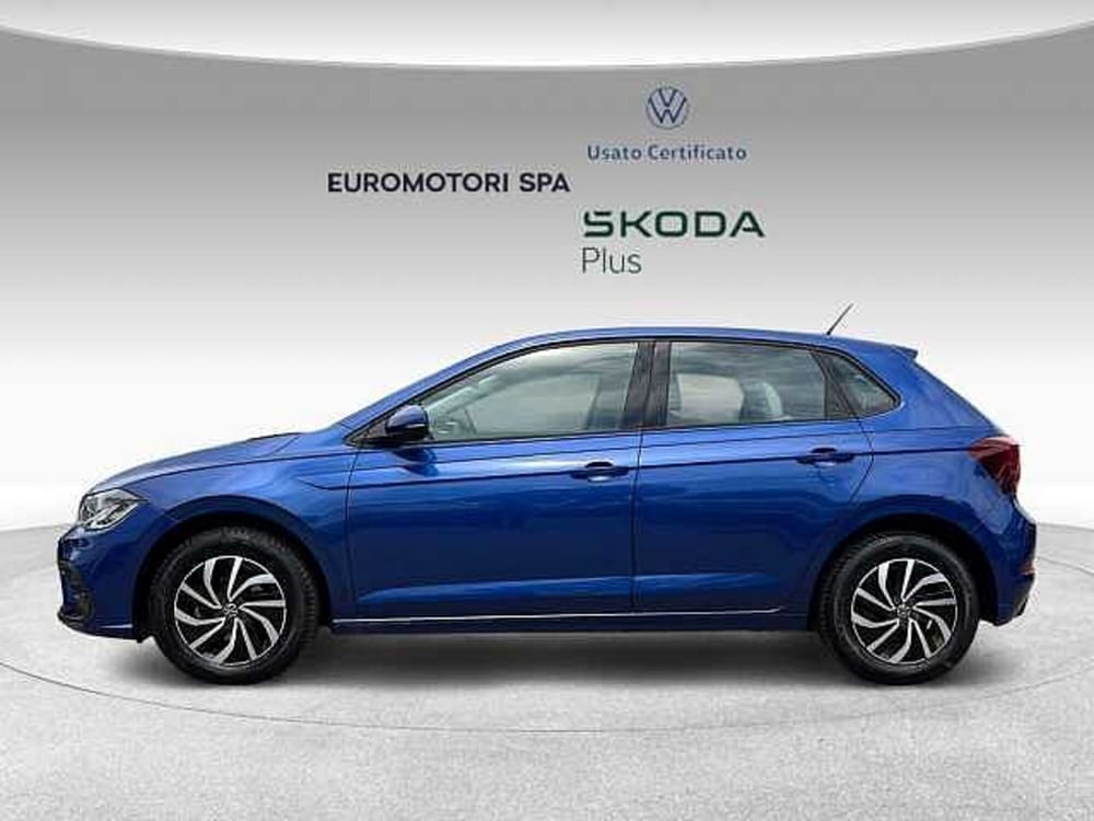 Volkswagen Polo usata a Grosseto (2)