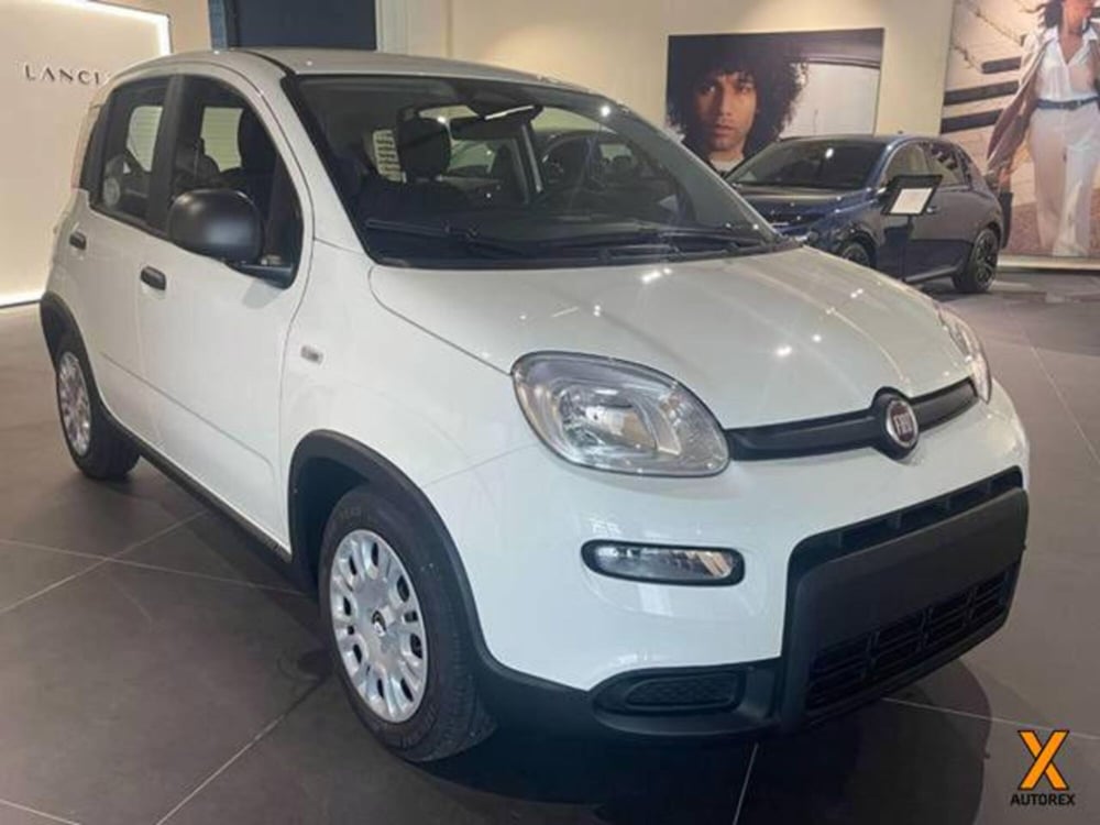 Fiat Panda nuova a Varese