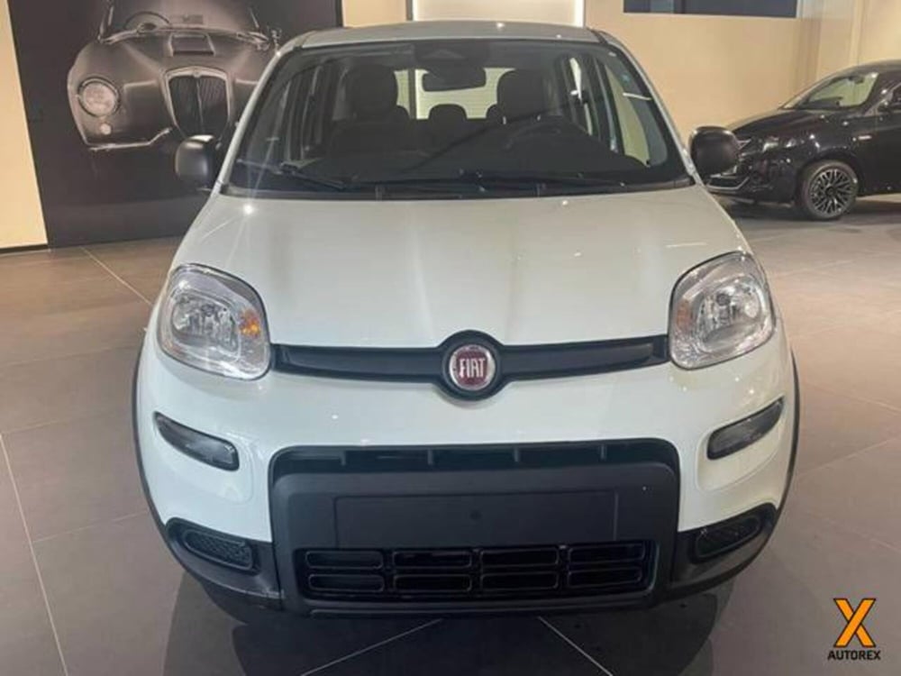 Fiat Panda nuova a Varese (2)