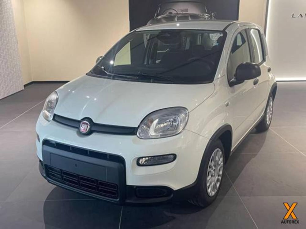 Fiat Panda nuova a Varese (3)